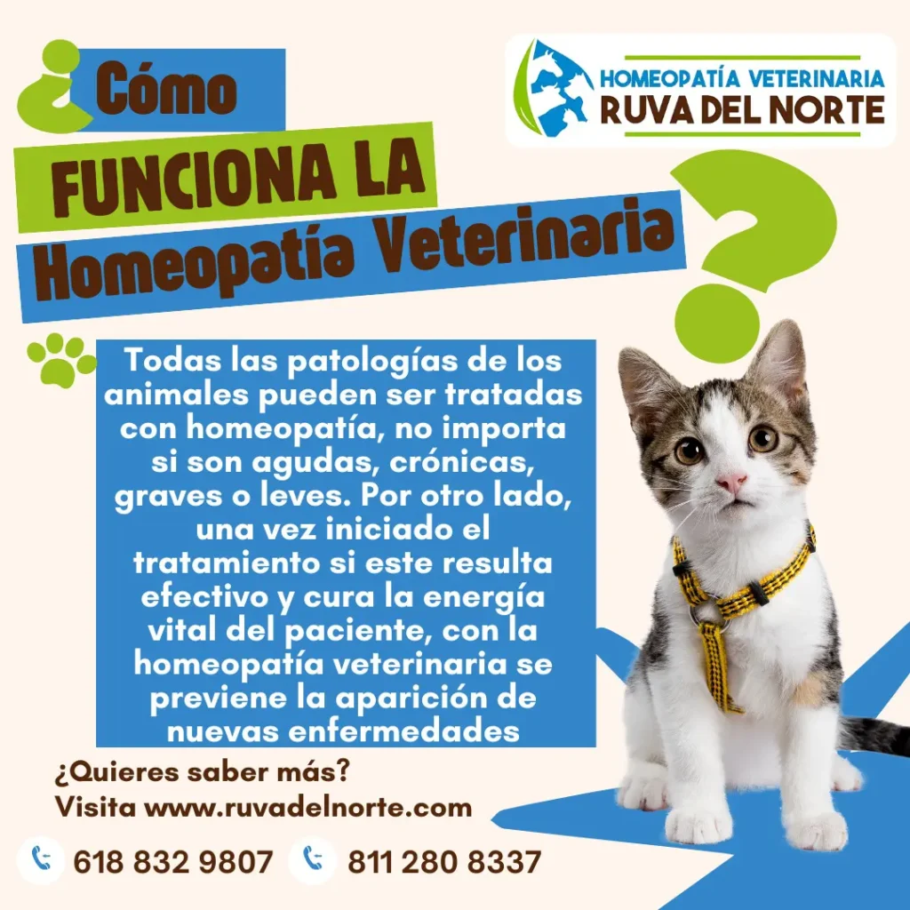 Homeopatia Veterinaria