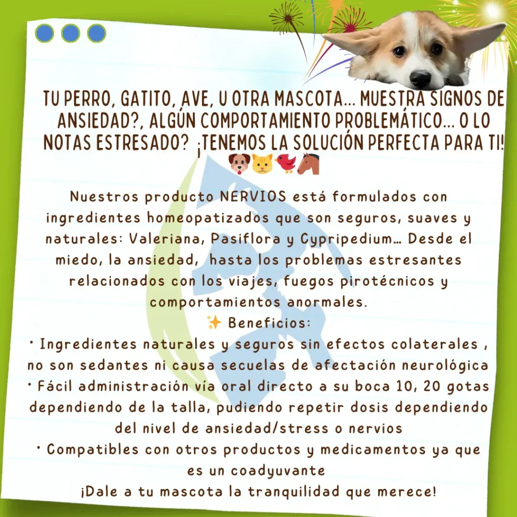 Productos para crisis de ansiedad mascotas