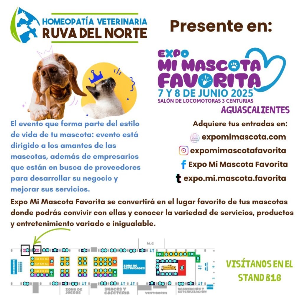Expos Mi Mascota