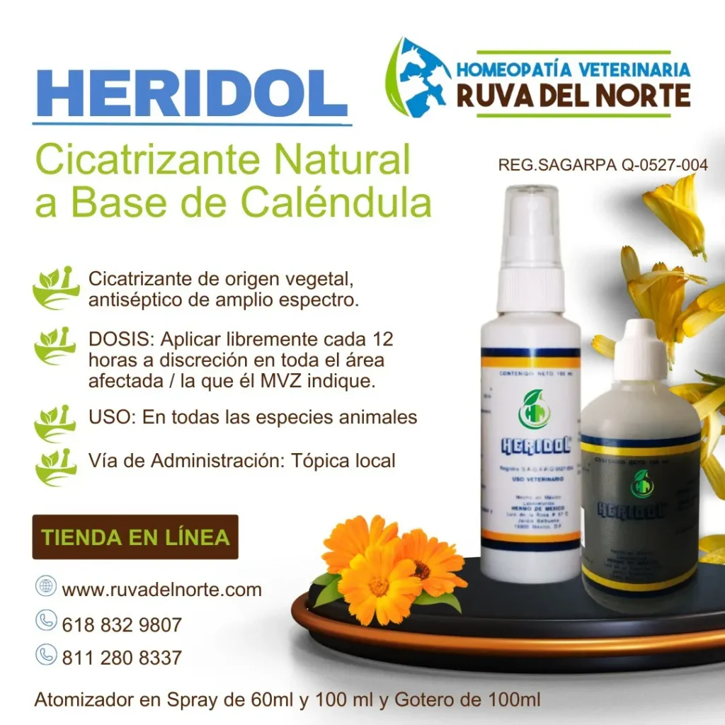 Heridol beneficios