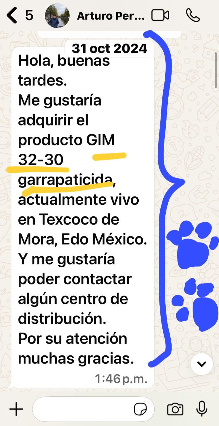 Ruva testimonios (10)