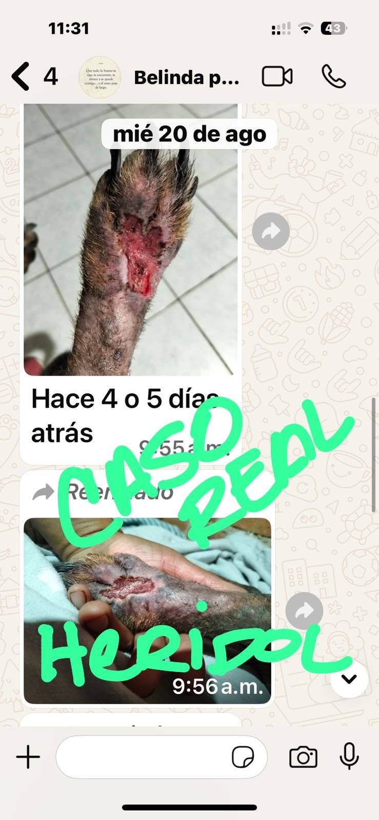 Ruva testimonios (13)