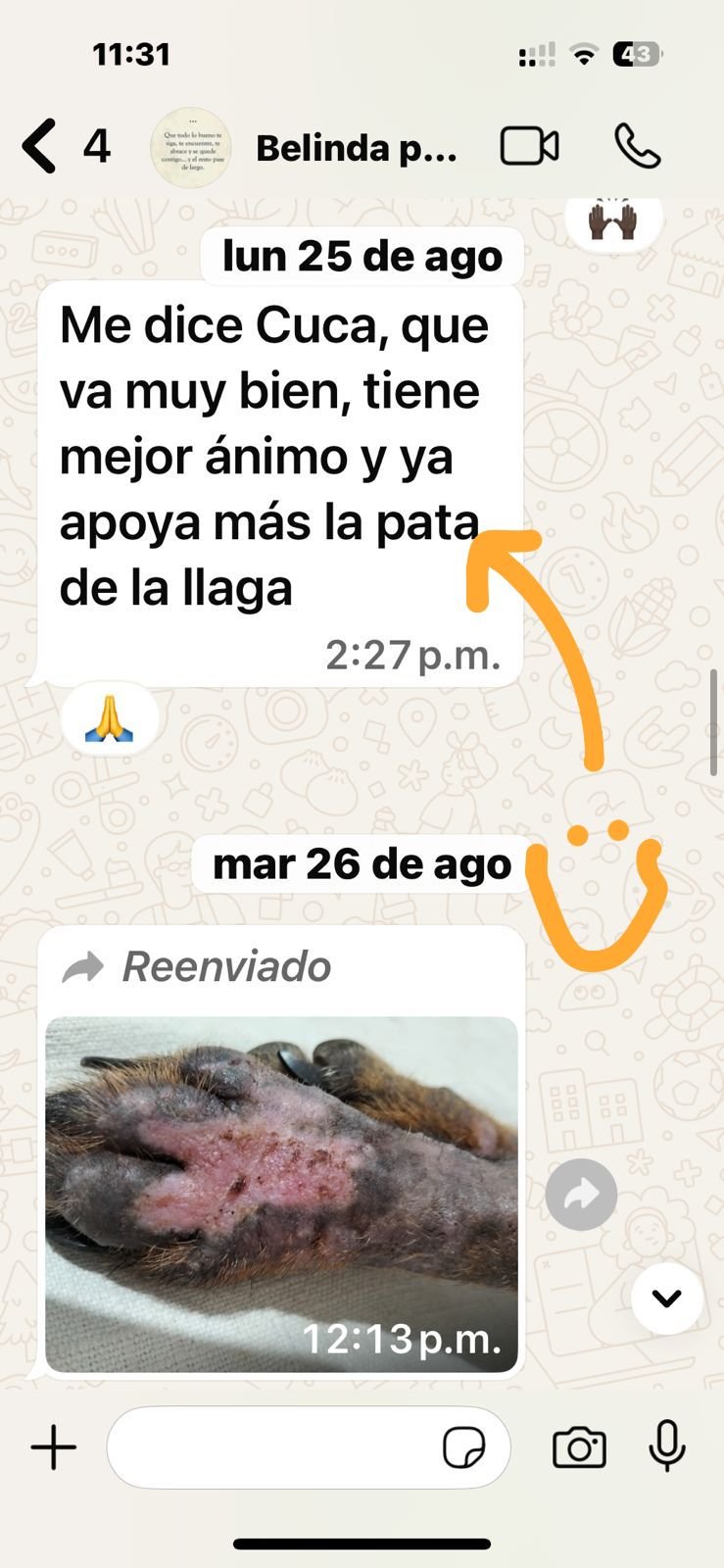 Ruva testimonios (14)