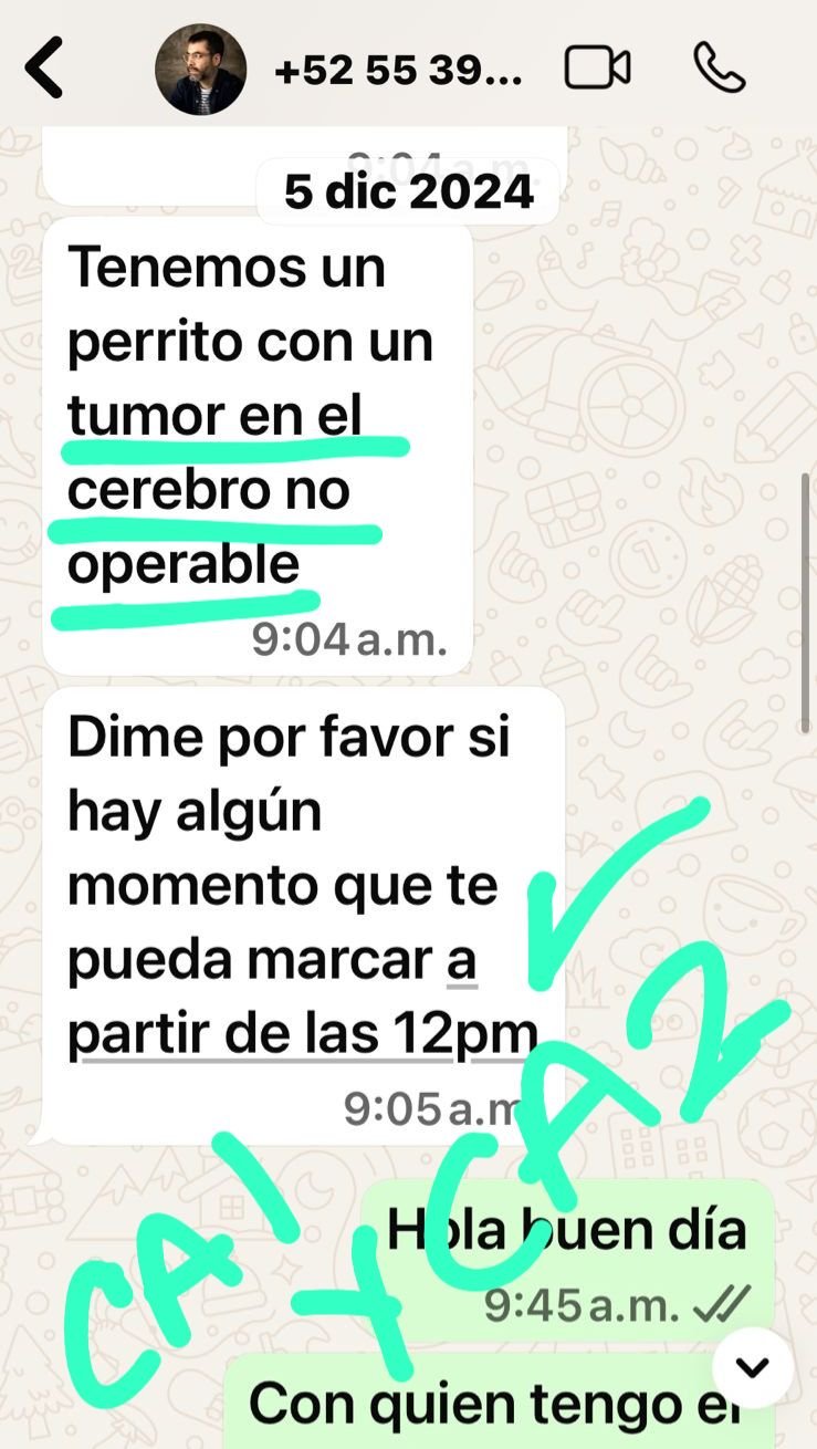 Ruva testimonios (8)